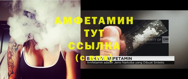 сатива Волосово